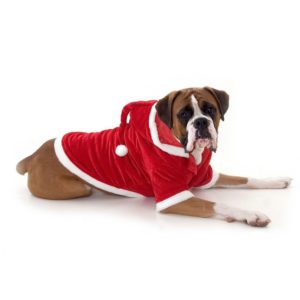 large-dog-santa-outfit